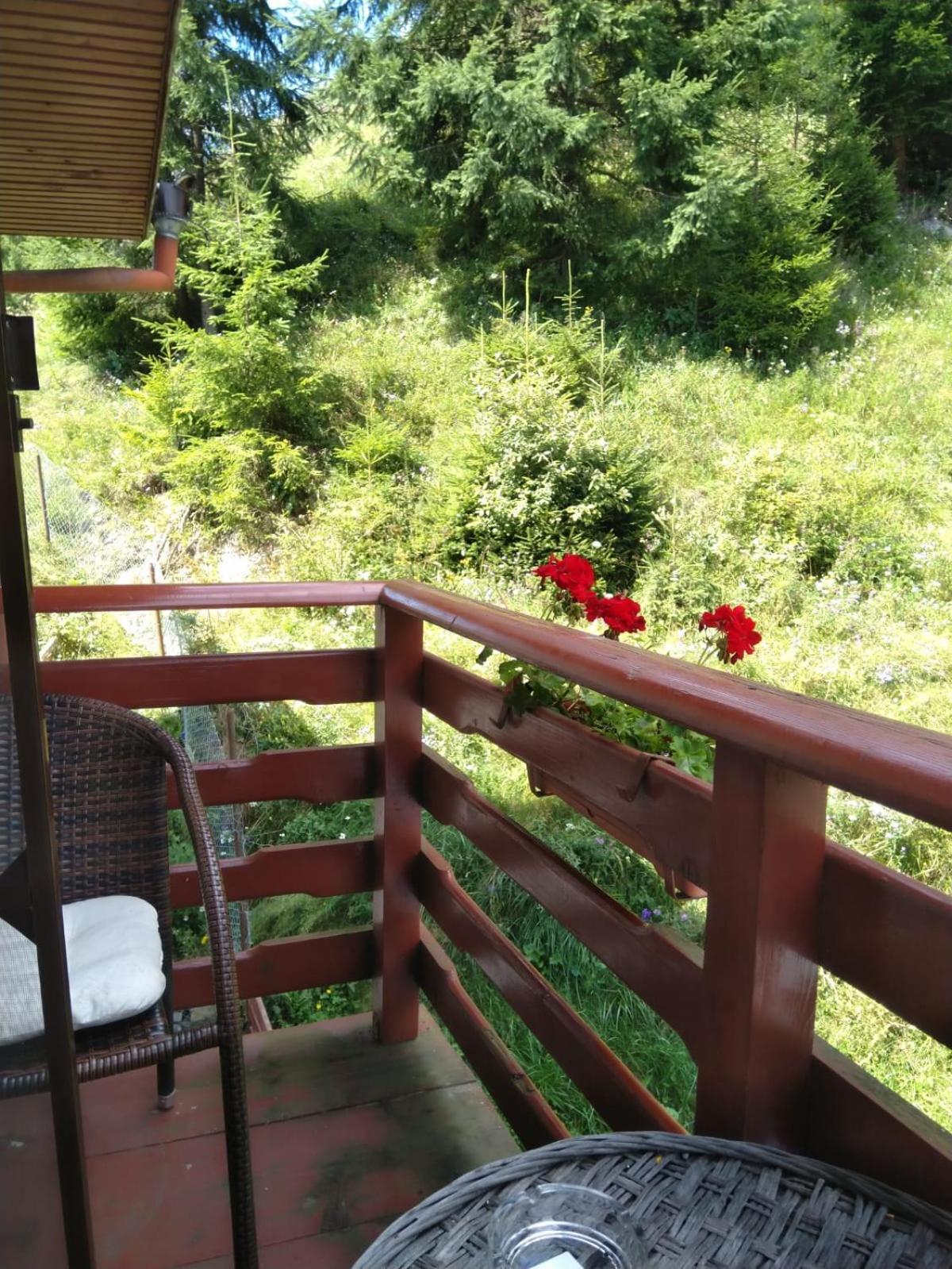 Pensiunea Roua Diminetilor Rusca  Habitación foto